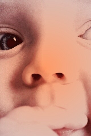 Что-то замышляет... обои