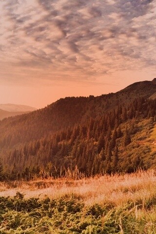 Предгорье обои