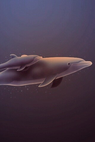 Дельфин и дельфиненок обои