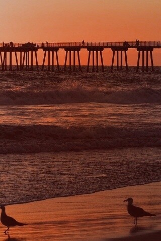 Морская терасса обои