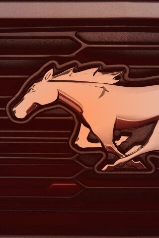 Mustang обои