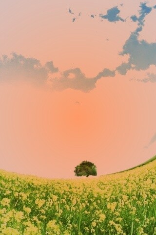 Искаженный мир обои