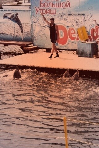 Утро в дельфинарии обои