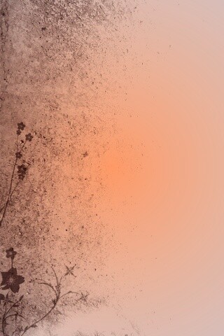 Фон с красивым черным узором обои