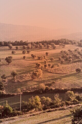 Ферма в долине обои