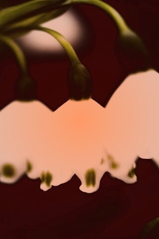 Белые ландыши обои