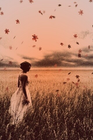 Грустная девушка в поле травы обои