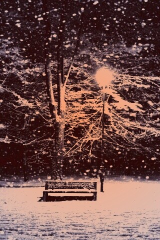 Ночь..улица..фонарь..скамейка.. обои