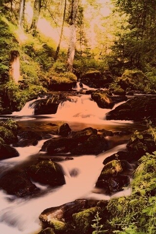 Живописный лесной водопад обои