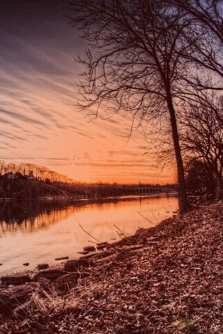 Осенний закат обои