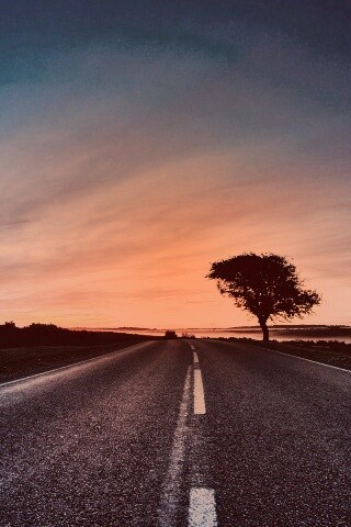 Дорога обои