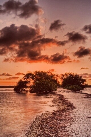 Побережье на закате обои