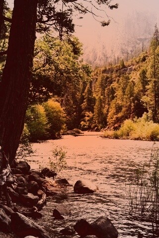 Национальный заповедник обои