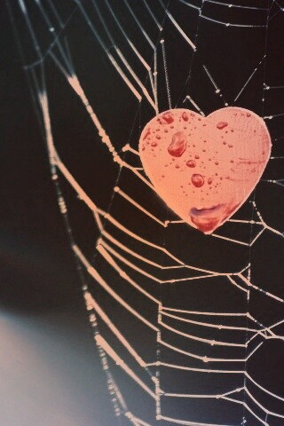 Сердце в паутине обои