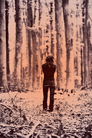 Одна в лесу обои