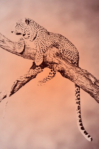 Ягуар на дереве обои