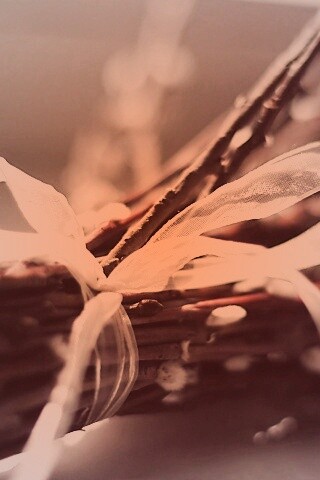 Букет вербы обои