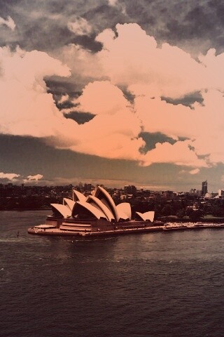 Сидней обои