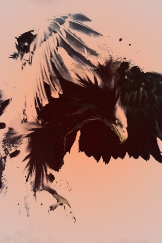 Скетч с орлом обои