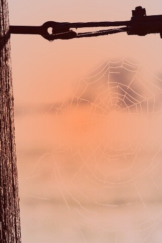 Паутина 51 обои