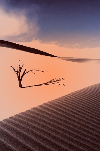 Дюны белого песка обои