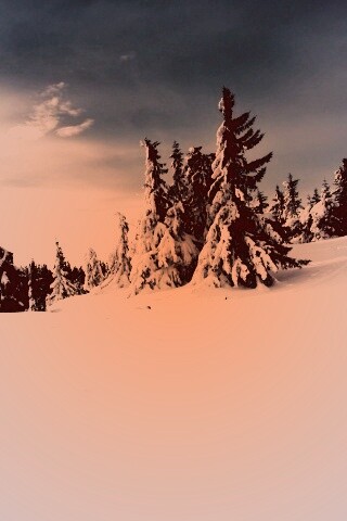 Зимние просторы обои