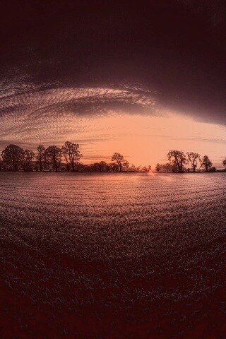 Поле широкоугольным объективом обои