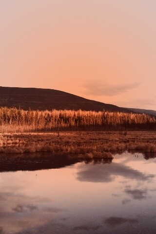 Осеннее озеро обои