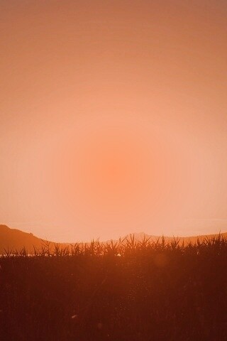 Сельский закат обои