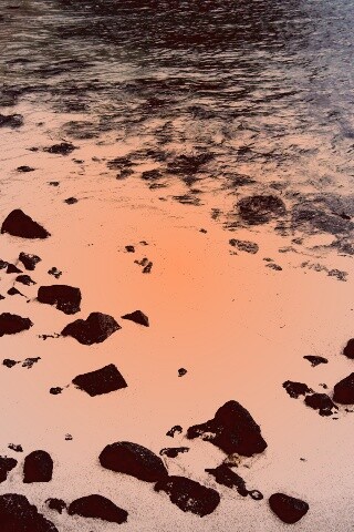 Каменистый берег обои