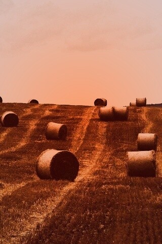 Уборка сена с поля обои