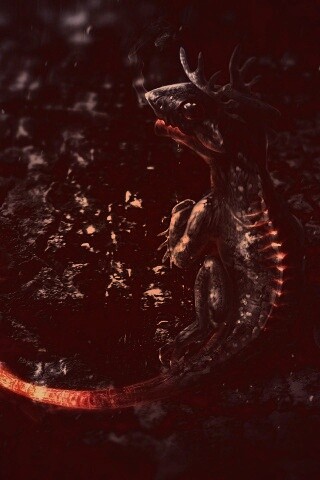 Огненный дракончик обои