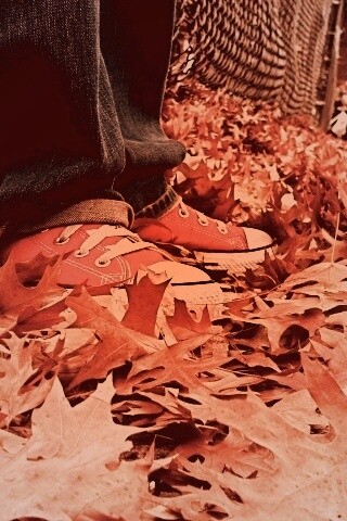 Оранжевые кеды обои