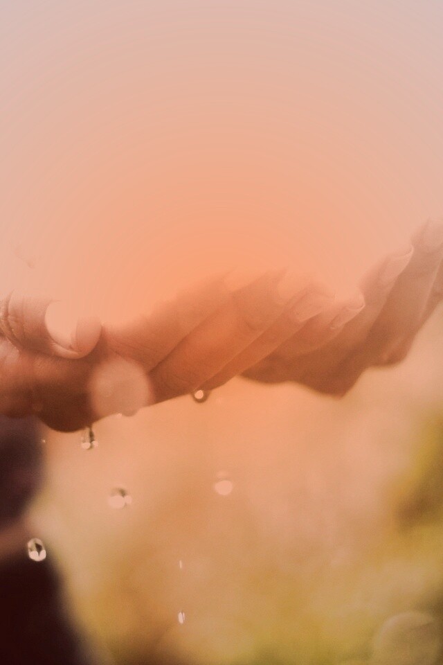 Дождь в ладонях обои