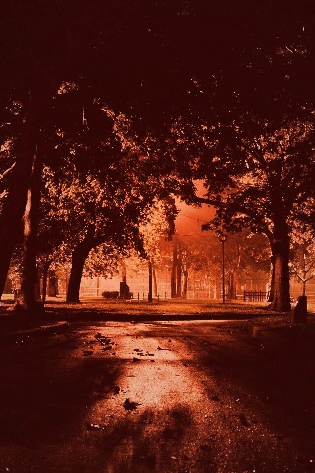 Ночной парк обои