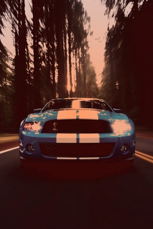 Форд Шелби обои