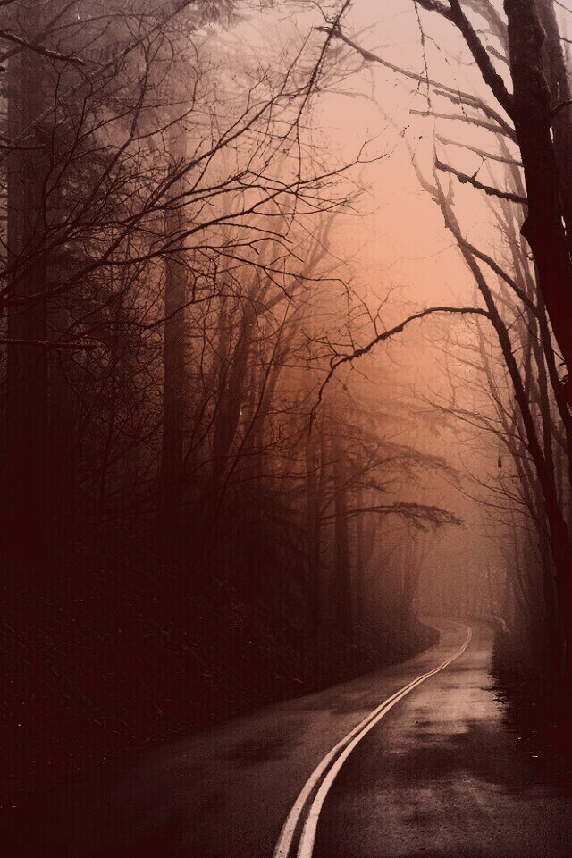 В туман обои