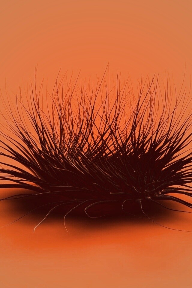 Волосатая мочалка обои