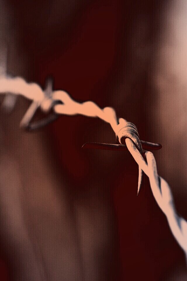 Колючая проволока обои