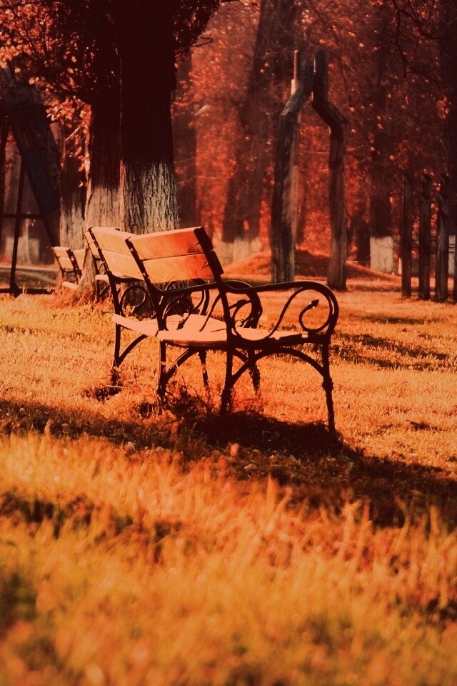 Скаймейка в осеннем парке обои