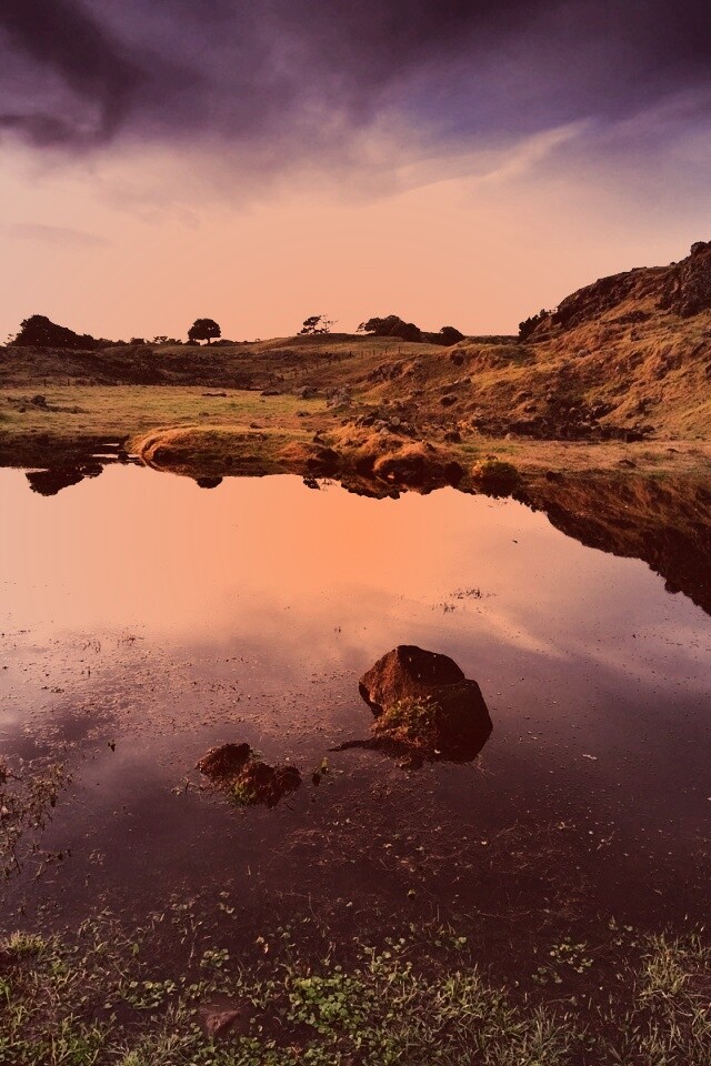 Затопленная долина в Новой Зеландии обои