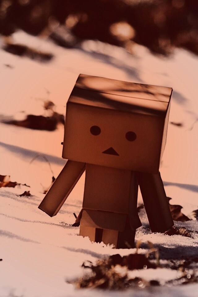 Данбо зиомой обои