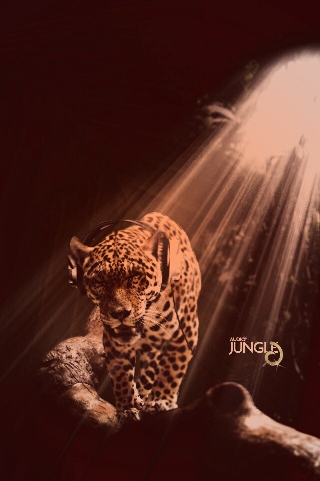 Ягуар в наушниках обои