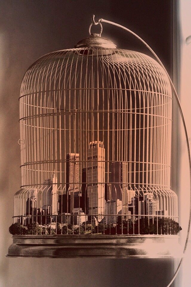 Город в клетке обои