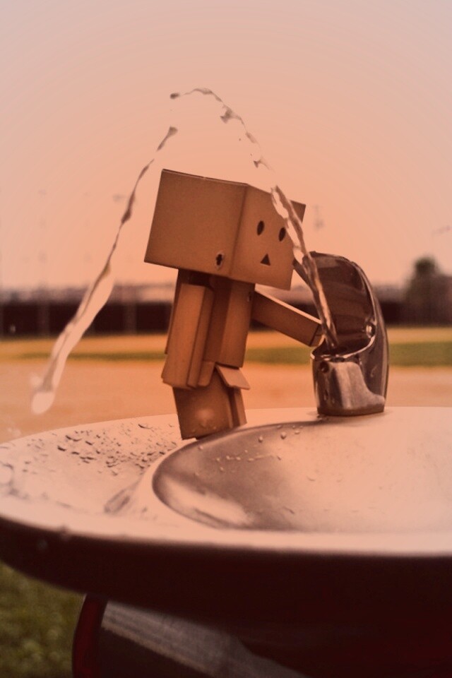 Дандо пьет в воду из фонтанчика обои