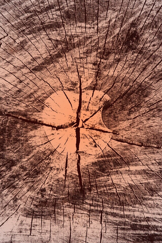 Логотип Apple на бревне обои