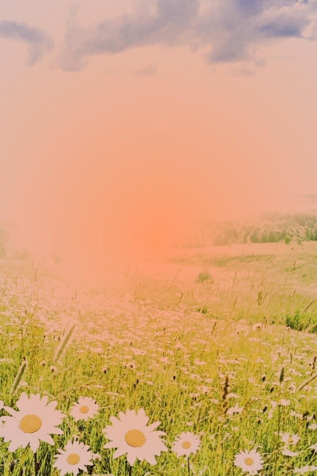 Летний восход обои