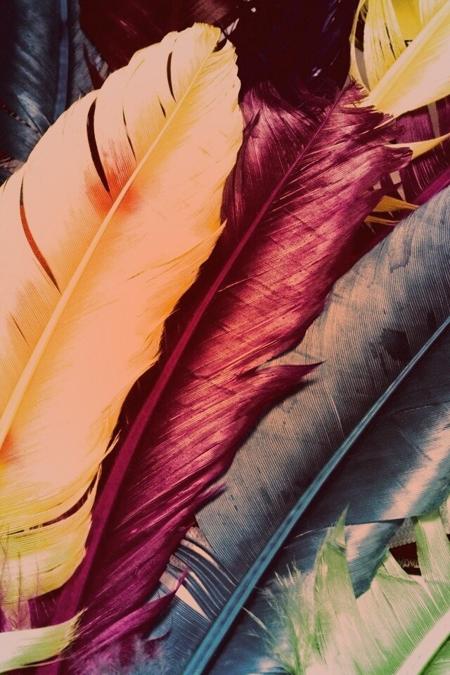 Разноцветные перья обои