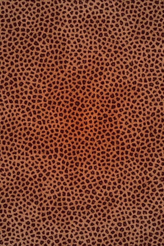 Пятнистая шкура обои