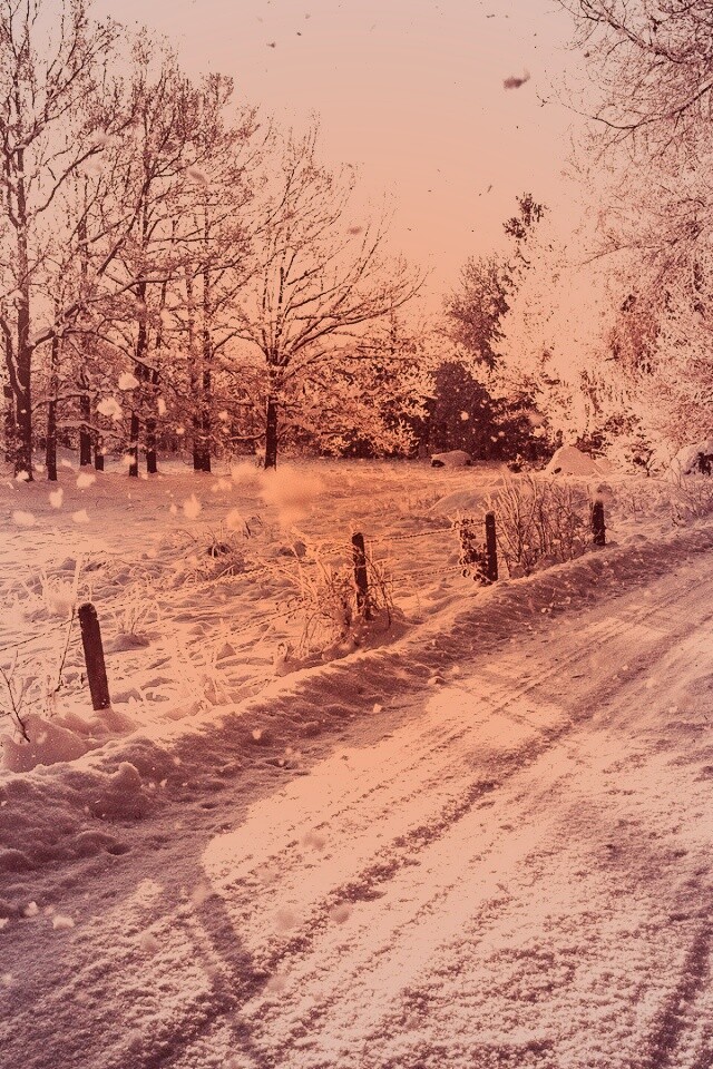 Снежная дорога залитая солнцем обои